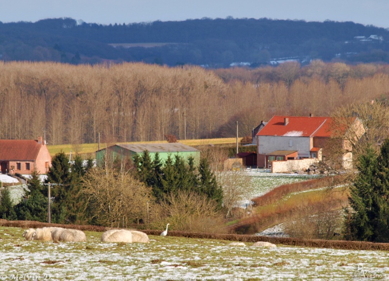 Image hébergée par servimg.com