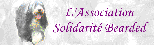 Solidarité Bearded