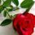 http://i38.servimg.com/u/f38/13/58/84/45/icon410.jpg