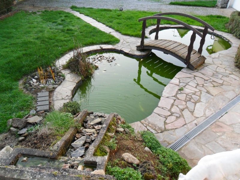 bassin de jardin sur 2 niveaux