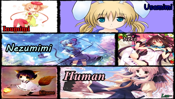 Welcome to Neko World