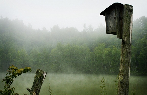 site de rencontre lanaudiere