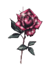 35i7tl10.gif