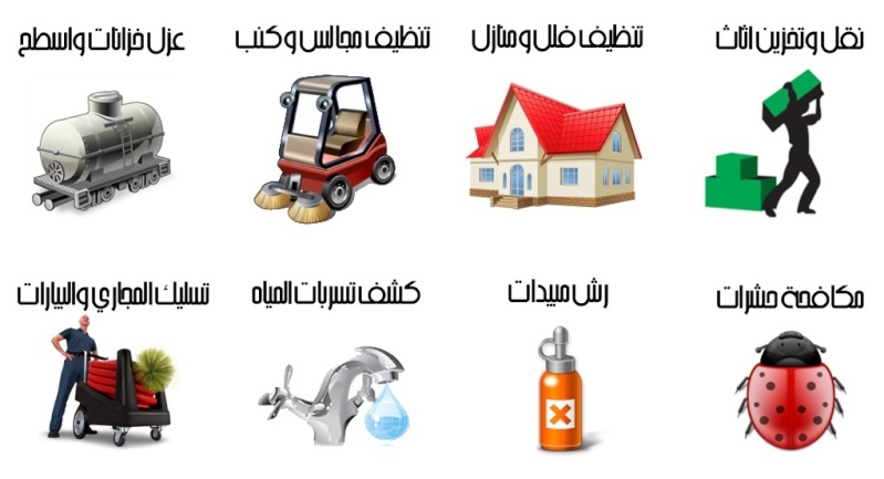   0594330161   12456911.jpg