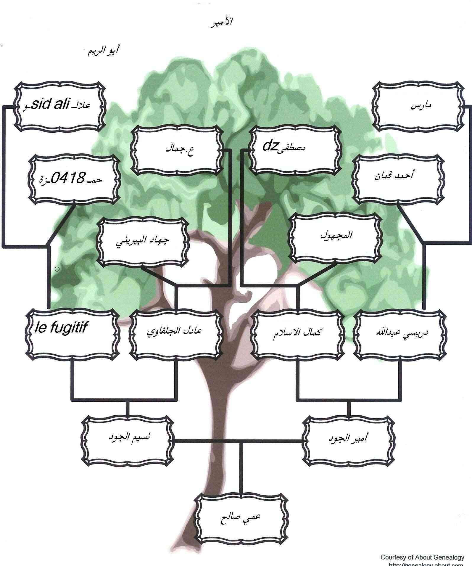 كيفية رسم شجرة العائلة بالفرنسية