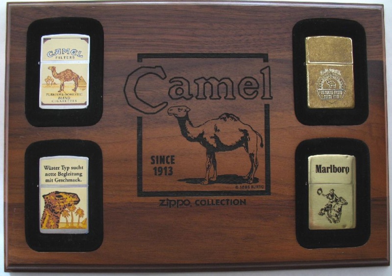 camel10.jpg