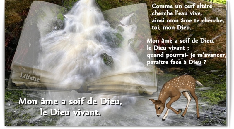 Mon âme a soif de Dieu, le Dieu vivant.