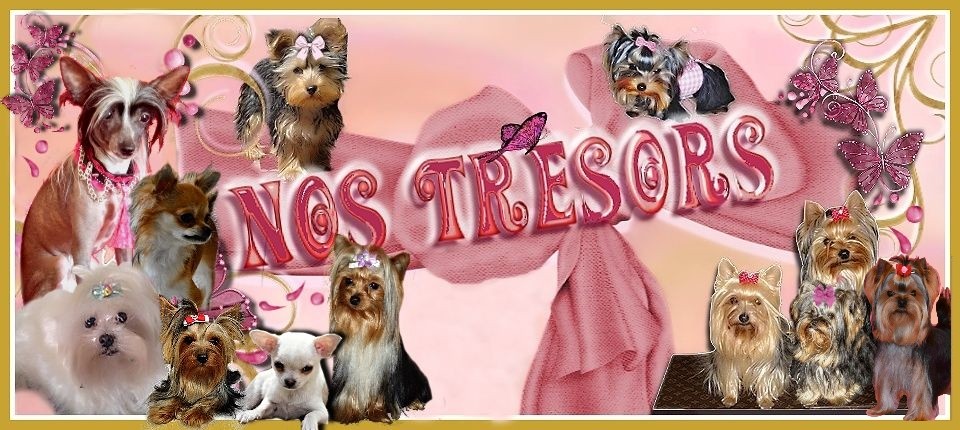 Nos Trésors