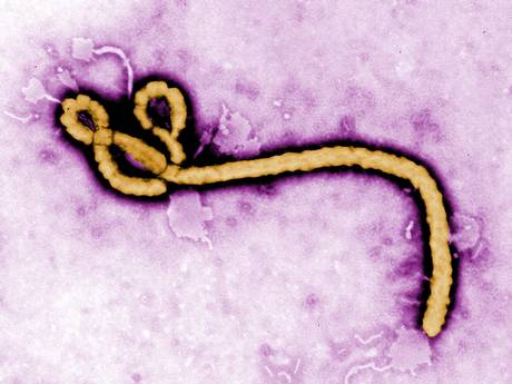 ebola-10.jpg