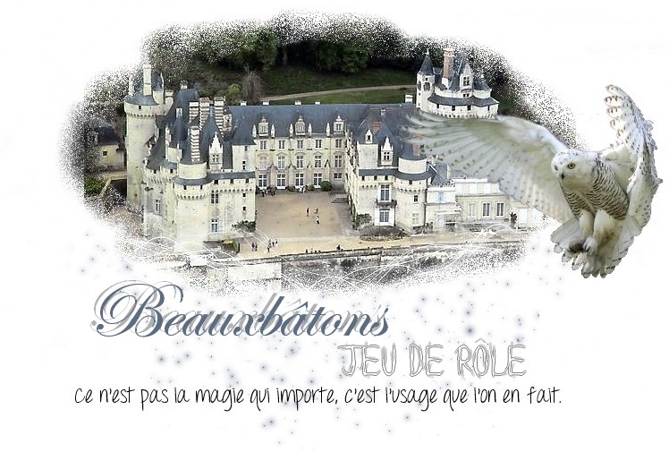 Beauxbâtons